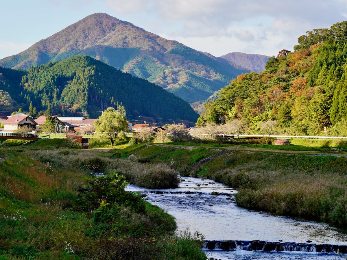 SHINJO – VILLAGE TREAT